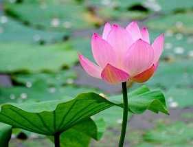 https://m.xinjingrm.com/dtmopic/vjqshan/47296.html