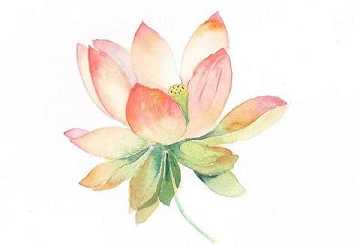 https://m.xinjingrm.com/dtmopic/gfhm/47306.html