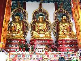 https://m.xinjingrm.com/dtmopic/fszzf/48883.html
