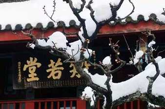 https://m.xinjingrm.com/dtmopic/lxbutuo/48408.html