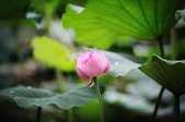 https://m.xinjingrm.com/dtmopic/ijijbr/51166.html