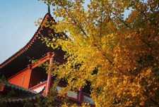 https://m.xinjingrm.com/dtmopic/vfejqk/53924.html